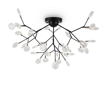 Потолочный светильник 36*G4 3Вт Черный IP20 Florencia FR5049CL-36B Freya