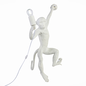 Светильник настенный Белый E27 1*60Вт SLE115111-01 EVOLUCE