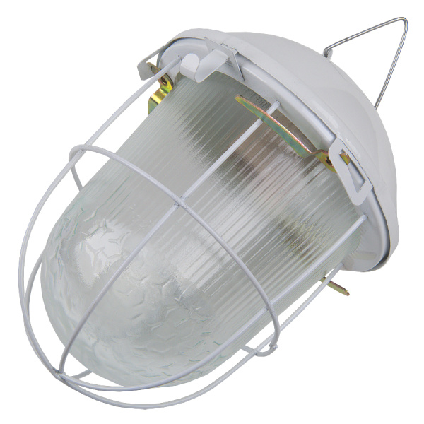 svetilnik_zhkkh_nsp_zhelud_general_02_100_002_01_437822_prozrachnyy_belyy_s_reshetkoy