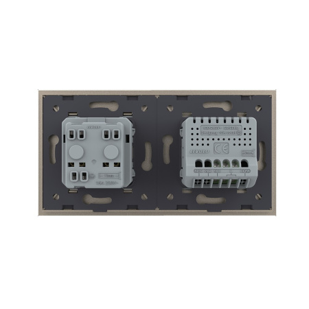 Одноклавишный сенсорный выключатель с розеткой 2 поста, цвет шампань Livolo