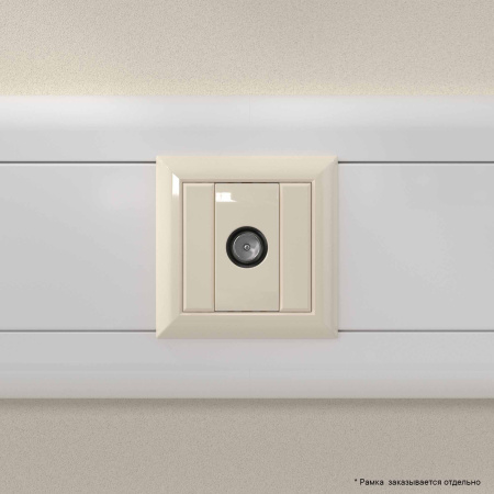 Розетка TV оконечная модульная, "Avanti", "Ванильная дымка", 1 модуль DKC