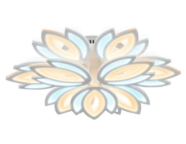 1e7e9c2445a4229ea32e94727b807b19