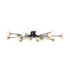 Потолочный светильник 16*G4 3Вт Черный IP20 Celebrity FR5242CL-16B Freya