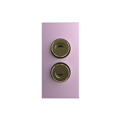 Розетка акустическая, цвет розовый (механизм) Livolo фото 2