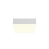 Потолочный светильник LED 24Вт Белый IP20 Ceiling & Wall C032CL-24W3K-SQ-W Technical Maytoni