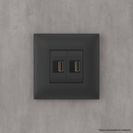 USB зарядное устройство в стену, "Avanti", "Черный матовый" DKC
