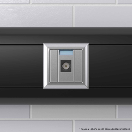 Розетка TV одиночная модульная, "Avanti", "Закаленная сталь", 1 модуль DKC