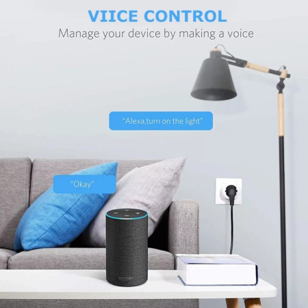 Розетка Wi-Fi LoraTap