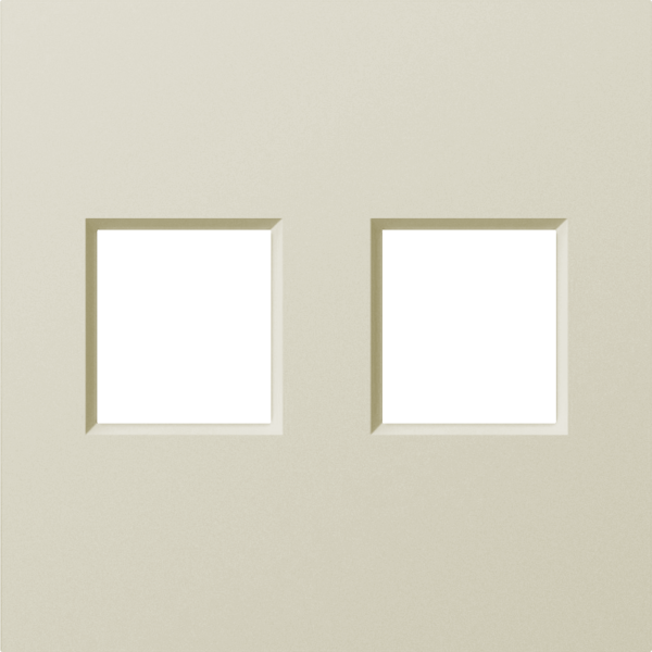 Donel A07 шампань накладка 2-я для розеток RJ45,TV,SAT, серия DB