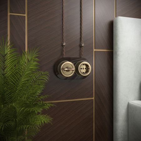 Розетка с заземлением (Бронзовый) Ретро ОУ IP20 Werkel