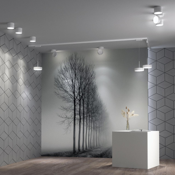 Св-к накл.св/д IP20 LED 24W 4000K 2100Лм 100-265V PROMETA белый NOVOTECH