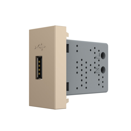 Розетка USB с блоком питания золотая (механизм) Livolo