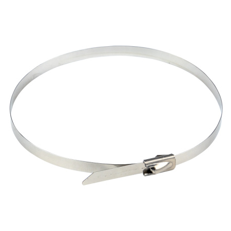 Хомут AISI 304 из нержавеющей стали, 4,6x260 (100 шт) FlexLock PROxima EKF