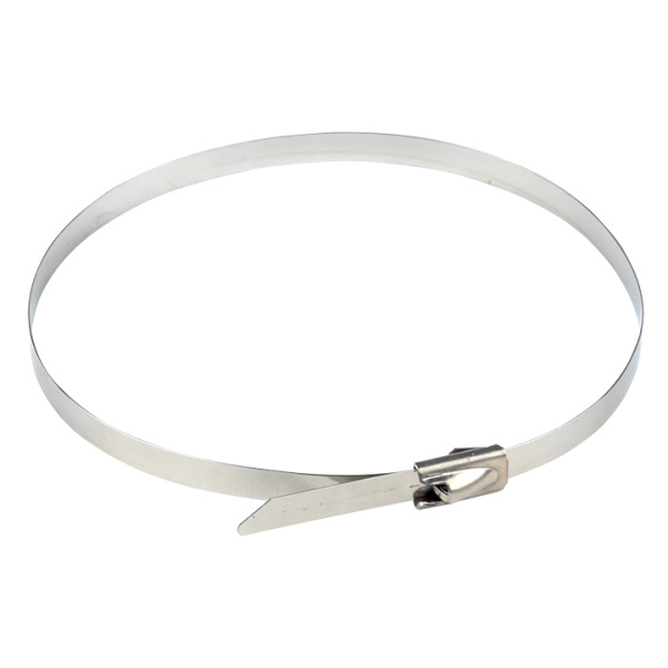 Хомут AISI 304 из нержавеющей стали, 4,6x260 (100 шт) FlexLock PROxima EKF