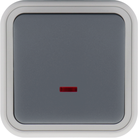 Donel W55 Переключатель 1-кл. накладной с подсветкой, серый, IP55, серия (тип) DIP55