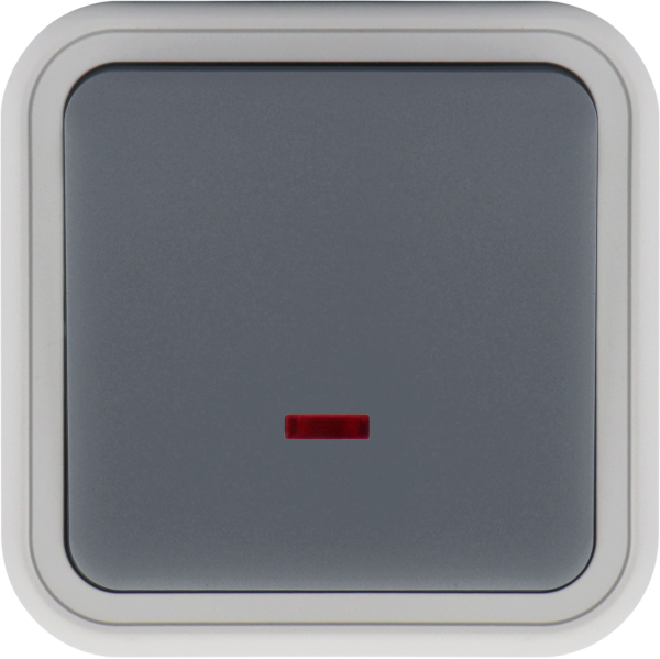 Donel W55 Переключатель 1-кл. накладной с подсветкой, серый, IP55, серия (тип) DIP55