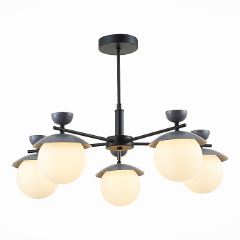 Светильник потолочный Черный, Серый/Белый G9 5*5Вт SLE220202-05 EVOLUCE