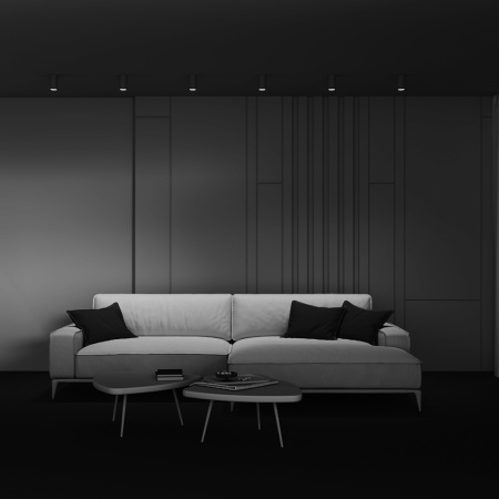 Потолочный светильник 1*GU10 12Вт Белый IP20 Ceiling & Wall C003CW-01W-1 Technical Maytoni
