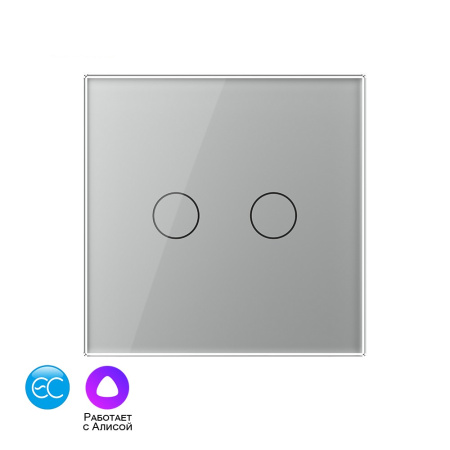 Двухклавишный умный сенсорный выключатель EC, 1 пост, цвет серый Livolo