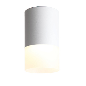 Светильник потолочный Белый LED 1*5Вт 4000К 390Lm Ra>80 120° D64xH110 170-240В ST100.542.05 ST LUCE
