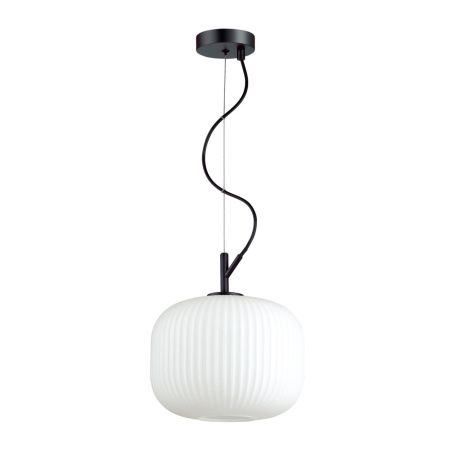 Подвес E27 60W ROOFI белый/черный C ODEON LIGHT