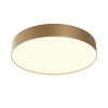 Потолочный светильник LED 45Вт Матовое Золото IP20 Ceiling & Wall C032CL-45W3K-RD-MG Technical Maytoni