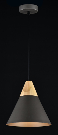 Подвесной светильник 1*E27 60Вт Черный IP20 Bicones P359-PL-220-C Maytoni