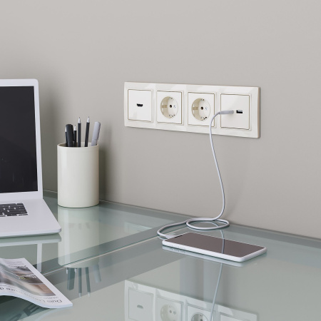 Встраиваемые механизмы Розетка СУ 1 мест. с з/з 16А слоновая кость IP20 Werkel