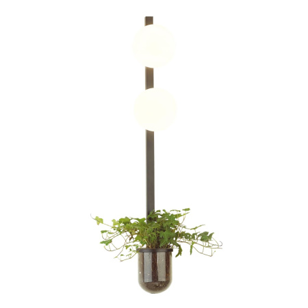 Настенный св-к E14 2*40W 220V FLOWER черный/белый B ODEON LIGHT