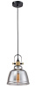 Подвесной светильник 1*E27 40Вт Черный IP20 Irving T163-11-C Maytoni