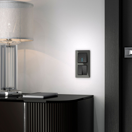 Hammer Механизм выключателя СУ 1 кл. с подсветкой 10А Черный IP20 Werkel