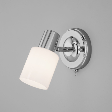 Настенный светильник с плафоном 1*E27 40Вт хром IP20 (20089/1 хром) Eurosvet