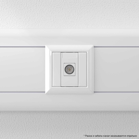 Розетка TV одиночная модульная, "Avanti", "Белое облако", 1 модуль DKC