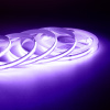216ОО Общее освещение светодиодной лентой 5м, 24В, 14Вт/м, COB, 512д/м, IP20, фиолет APEYRON