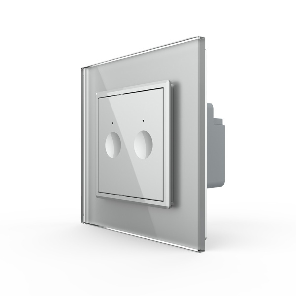 Двухклавишный сенсорный выключатель Module, цвет серый Livolo