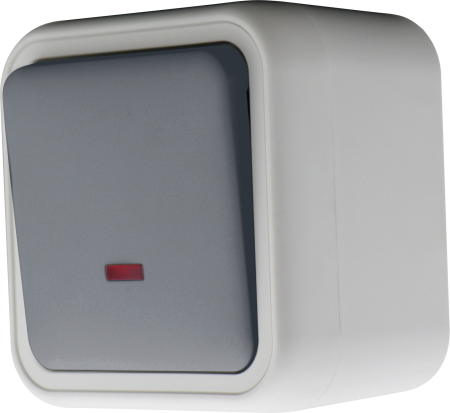 Donel W55 Переключатель 1-кл. накладной с подсветкой, серый, IP55, серия (тип) DIP55