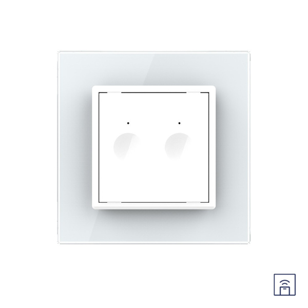Двухклавишный сенсорный выключатель Module с функцией радиоуправления, цвет белый Livolo