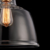 Подвесной светильник 1*E27 40Вт Черный IP20 Irving T163PL-01W Maytoni