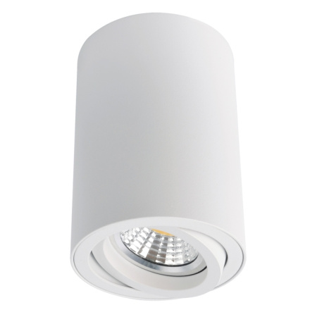 Светильник накладной точечный SENTRY GU10 50W 220V белый/металл Arte Lamp