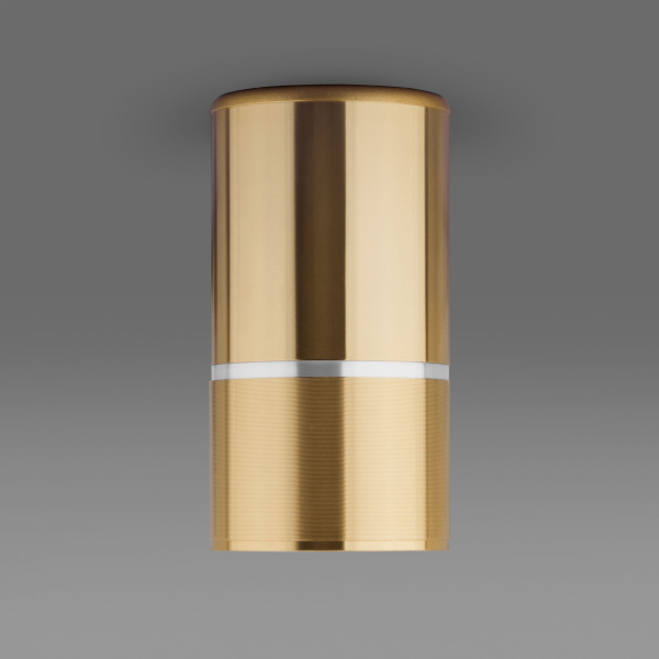 Накладной акцентный светильник 1*GU10 золотой IP20 (a047732) Elektrostandard