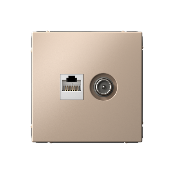 ARTGALLERY РОЗЕТКА двойная ТВ + компьютерная RJ45, кат. 5Е, ПЕСОЧНЫЙ Systeme Electric ARTGALLERY РОЗЕТКА двойная ТВ + компьютерная RJ45, кат. 5Е, ПЕСОЧНЫЙ Systeme Electric