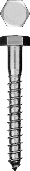 Шурупы ШДШ с шестигранной головкой (DIN 571), 70 х 10мм, 2 шт, ЗУБР