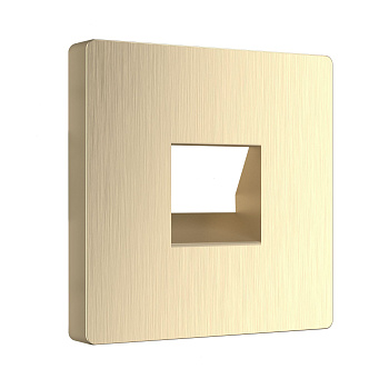 Накладка для телефонной розетки RJ11 (шампань рифленый) СУ IP20 Werkel