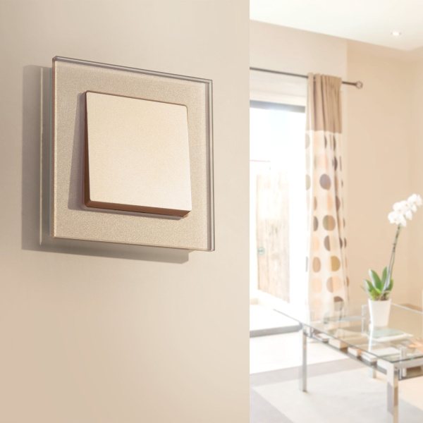 Выключатель одноклавишный (шампань) СУ IP20 Werkel