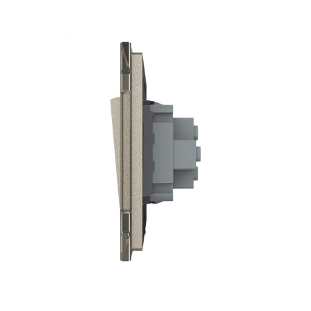 Одноклавишный механический выключатель 1 пост, цвет шампань Livolo