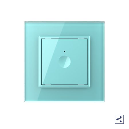 Одноклавишный проходной сенсорный выключатель Module, цвет зеленый Livolo