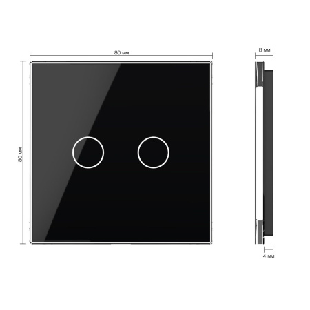 Панель для двухклавишного выключателя черная Livolo