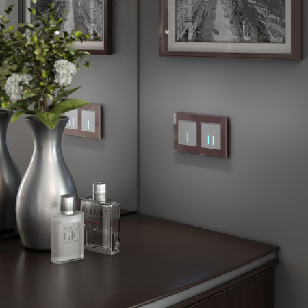 Сенсорный выключатель одноклавишный с подсветкой 1000 Вт (серебряный) СУ IP20 Werkel