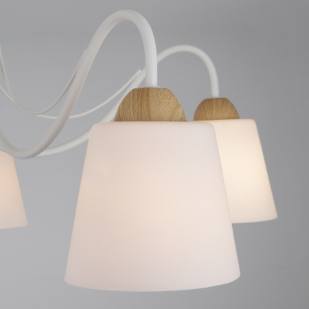 Потолочная люстра с плафонами 5*E27 40Вт белый IP20 Betty (70062/5 белый) Eurosvet