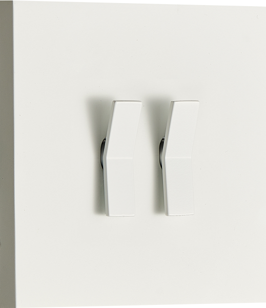 Donel N96 Переключатель на 2 тумблера, клавиша Angle, 10AX 250V, Белый, серия DT